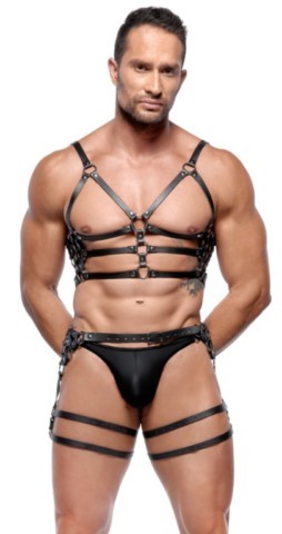 Ensemble harnais en cuir ZADO avec harnais de poitrine, harnais de hanches et sangle de cuisse.