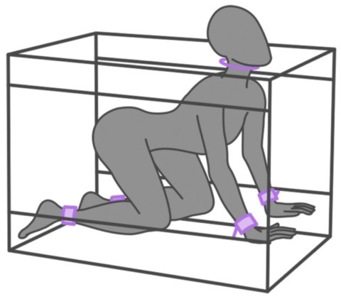 Cabine Bukkake - La Niche