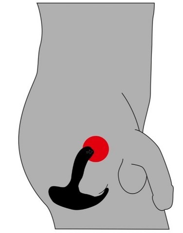 Plug anal stimulateur de la prostate et du périnée - Rebel - Bruno