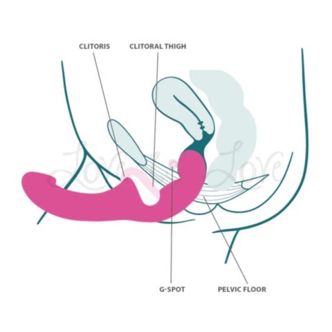 Double gode stubs share Fun Factory